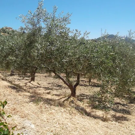 Agriturismo Due Ganee ファームステイ